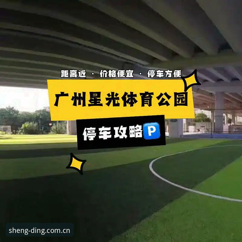 鼎盛登录问题最新版 资深用户详解:鼎盛体育平台登录问题最新版修复全攻略,这些经验你必须知道